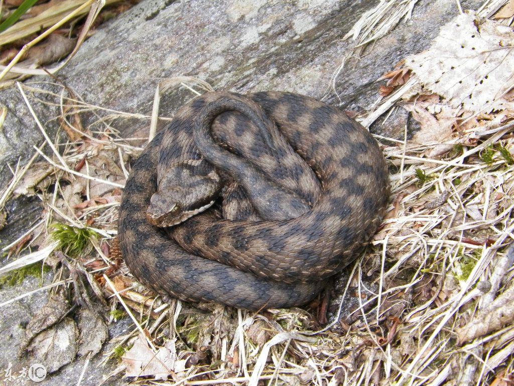 吉林盛事，嘉宾云集，观众热情如火