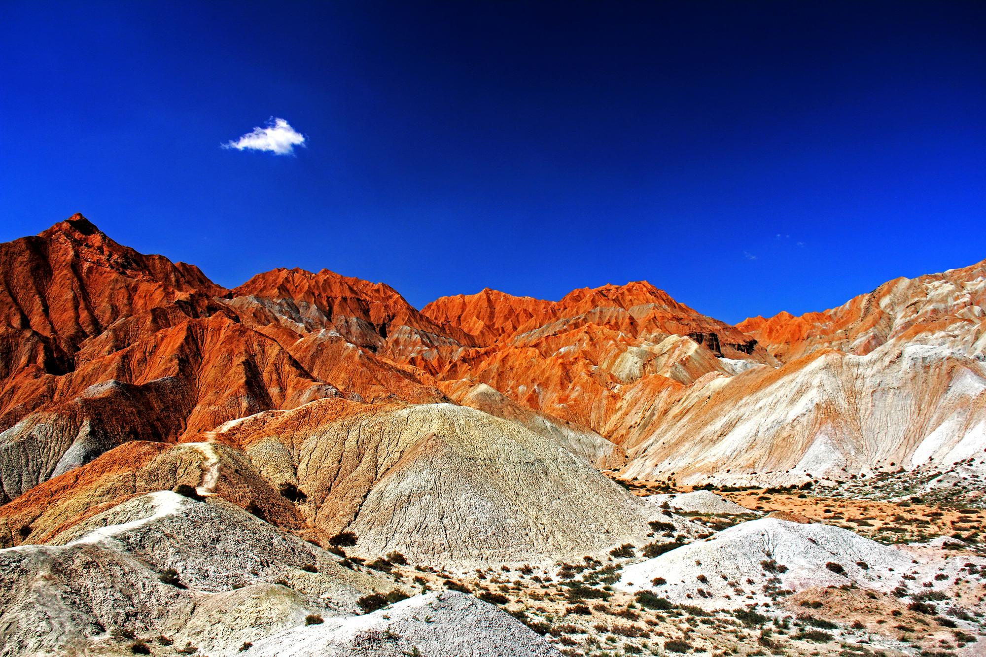 青海盛会，致敬领导与朋友们共襄盛举