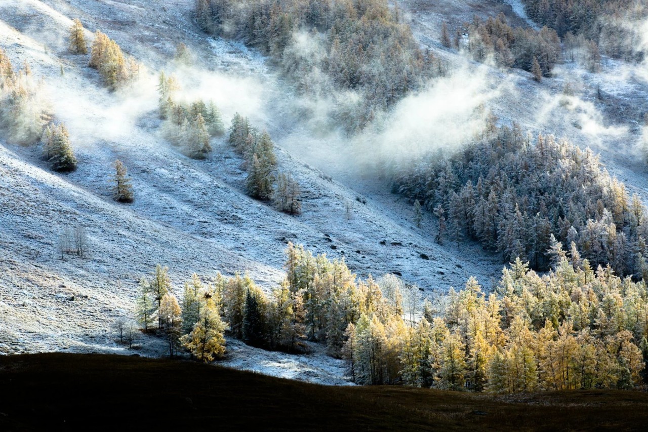 新疆千年古韵，探秘丝绸之路的瑰宝之地