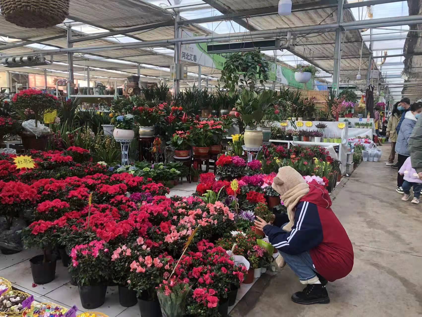 华北明珠,石家庄的历史韵味素描